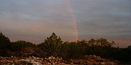 Wonderful Rainbow at Babble On Industries.