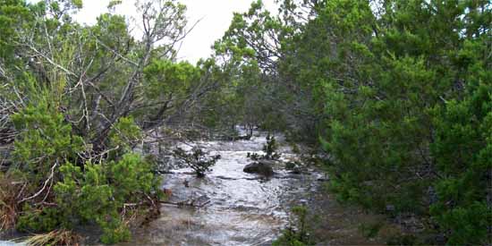 Wet Weather Creek at Babble On Industries.