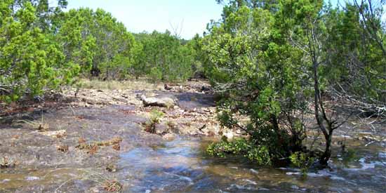 Wet Weather Creek at Babble On Industries.