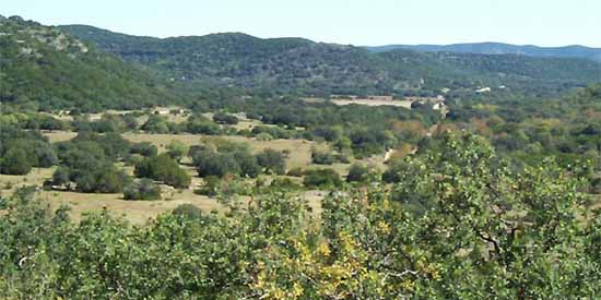 The Road between Barksdale and Leakey near Babble On Industries.