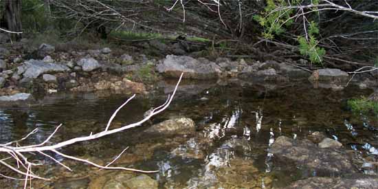 Wet Weather Pond.