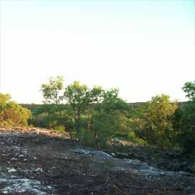 Clearing Land.