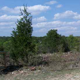 Clearing Land.