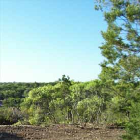 Clearing Land.