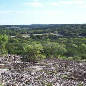 Clearing Land.