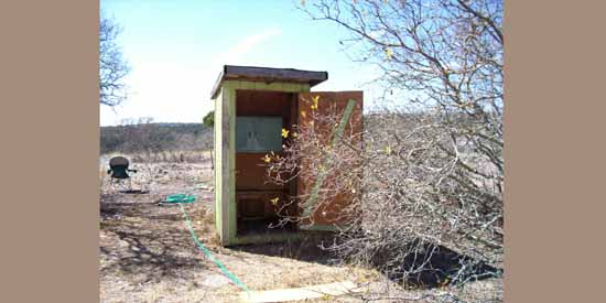 Dancing Lizard Ranch.