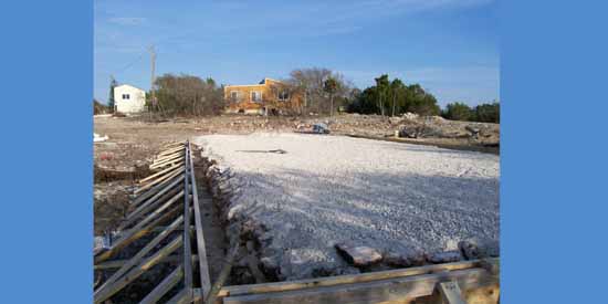 Dancing Lizard Ranch.