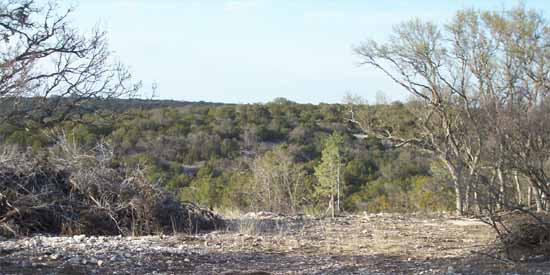 Dancing Lizard Ranch.