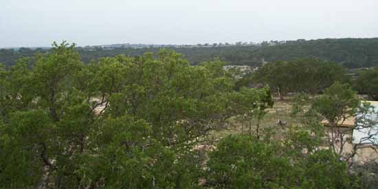 Dancing Lizard Ranch.