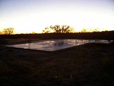 Dancing Lizard Ranch.