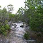 Wet weather creek at Babble On Industries.