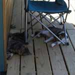 Boys on the Porch.