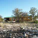 Dancing Lizard Ranch.