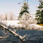 The Winter Pond is Magical.