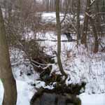 The Winter Pond is Magical.