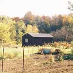 Garden in the Fall.