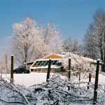 Greenhouse in the Winter.