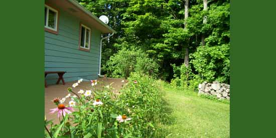 Flowers on the Back Deck.