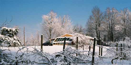 Green House in the Winter