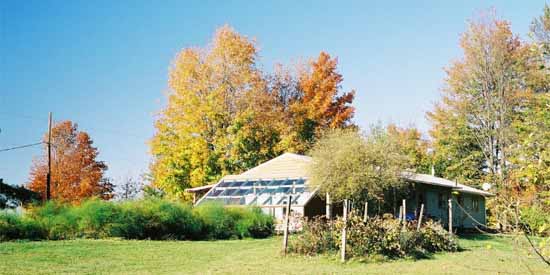 Green House in the Fall