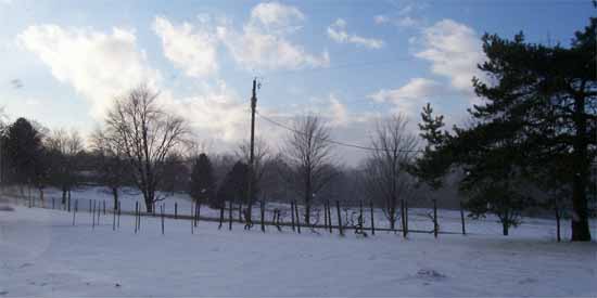 Garden in the Snow