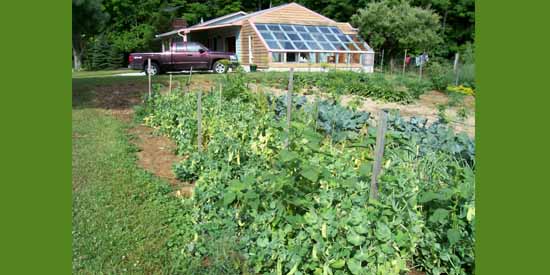 Peas in the Garden