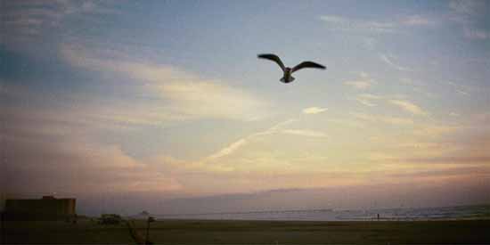 Texas Gulf Coast.