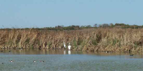 Port Aransas.