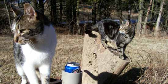 Pee Wee and Butchie are cutting wood behind the pond.