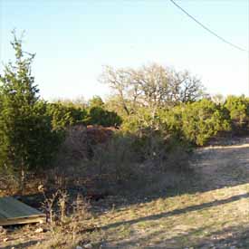 Clearing Land.